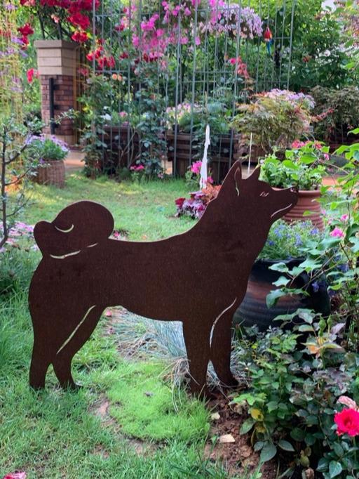 想要个带院子的房子 让平凡的生活变成一件浪漫的事