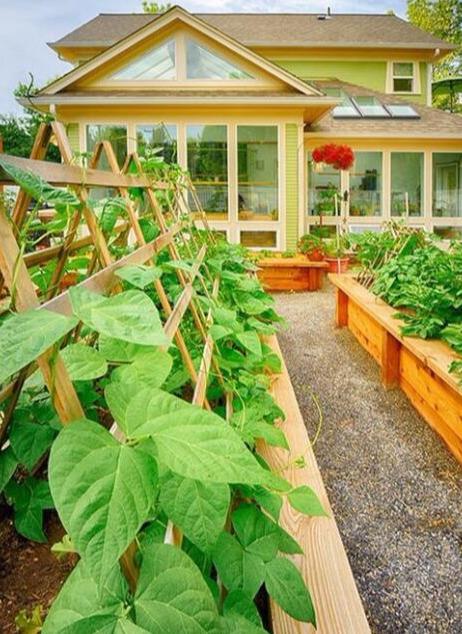 想要个带院子的房子 让平凡的生活变成一件浪漫的事