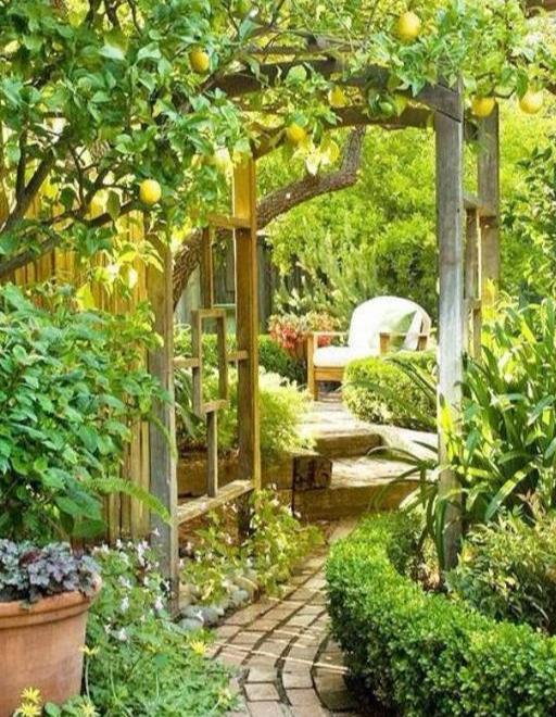 想要个带院子的房子 让平凡的生活变成一件浪漫的事