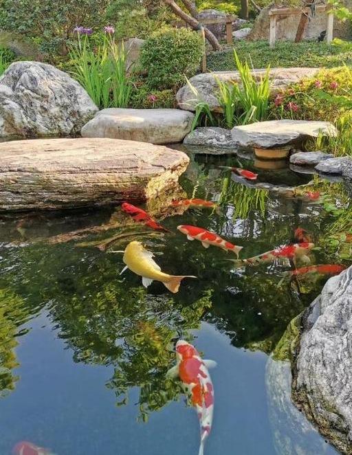 想要个带院子的房子 让平凡的生活变成一件浪漫的事