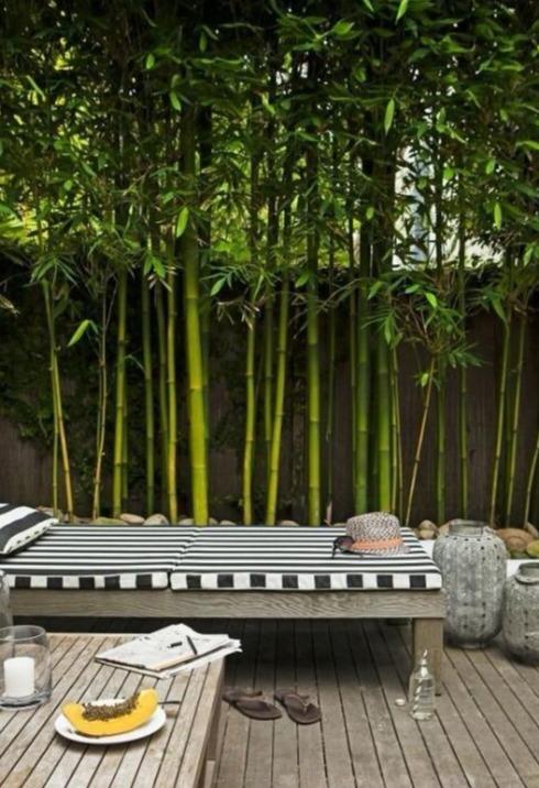 想要个带院子的房子 让平凡的生活变成一件浪漫的事