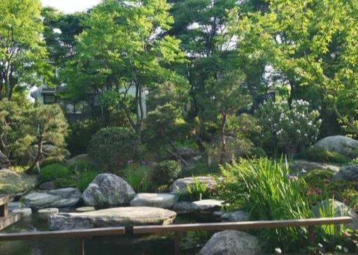 想要个带院子的房子 让平凡的生活变成一件浪漫的事